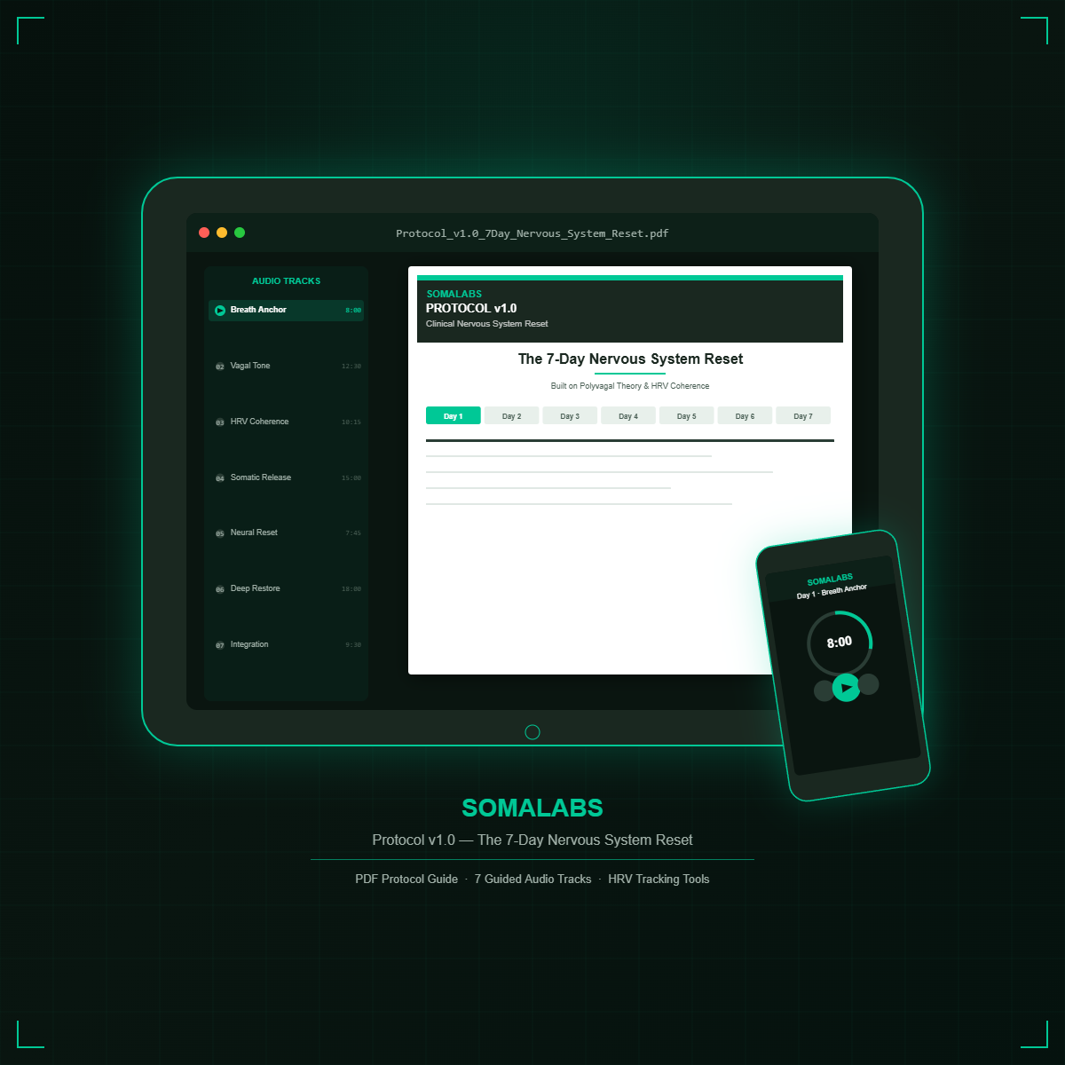 Protocol v1.0 — The 7-Day Nervous System Reset